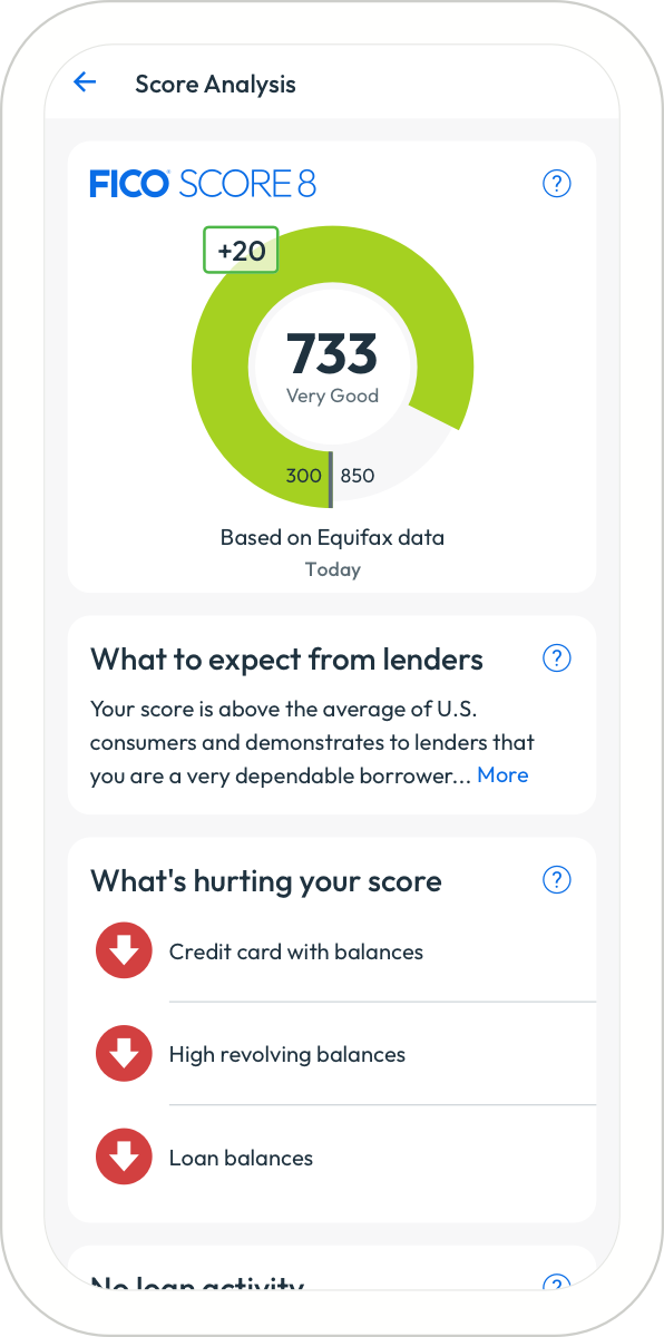 Image of FICO Score Score analysis